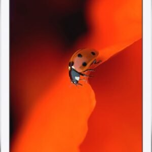 Réparation iPad Air 1E Gen